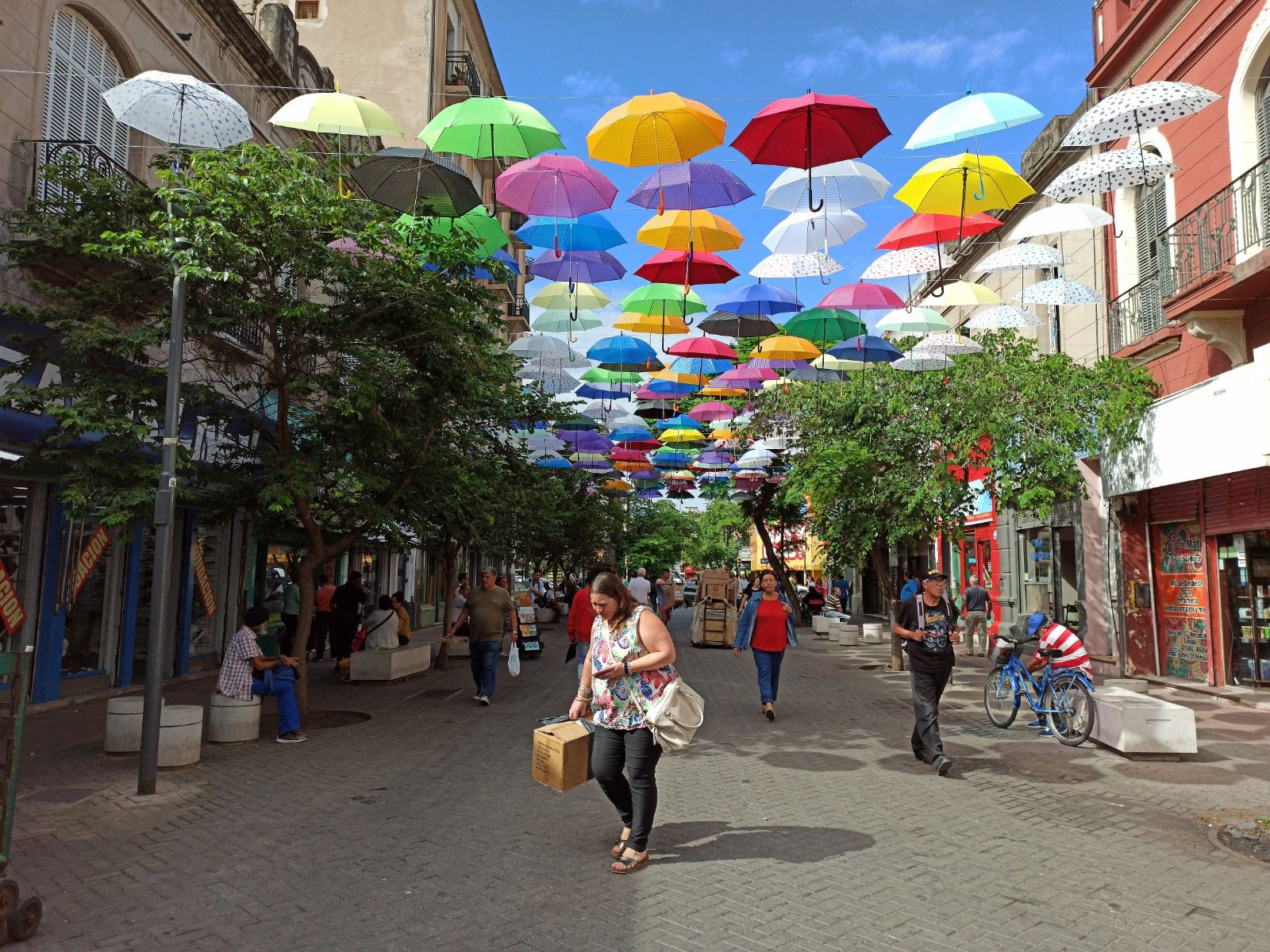 Córdoba en primavera: aquí, las distintas opciones para festejar el inicio de la colorida estación