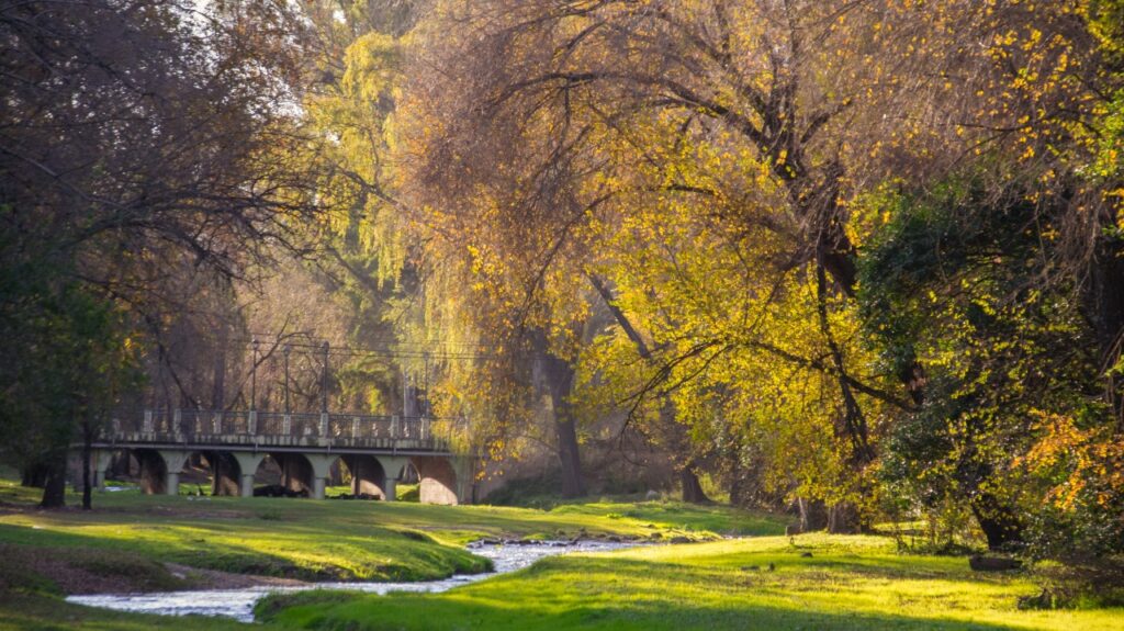 Puente sobre un arroyo rodeado de árboles con hojas color amarillo